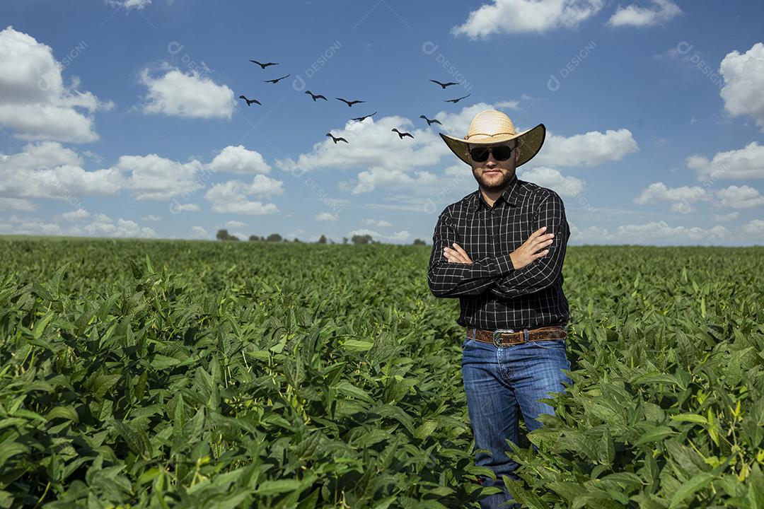 Jovem agricultor de chapéu segurando soja no campo de soja Imagem JPG
