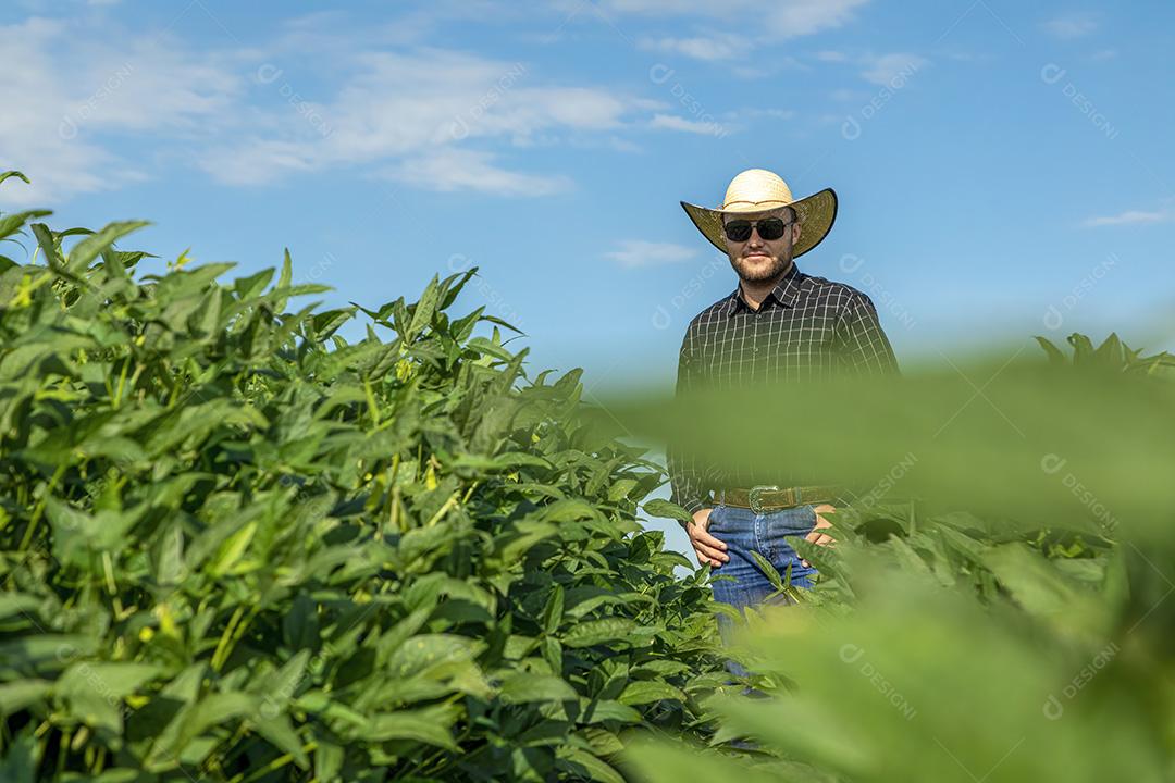 Jovem agricultor de chapéu segurando soja no campo de soja Imagem JPG