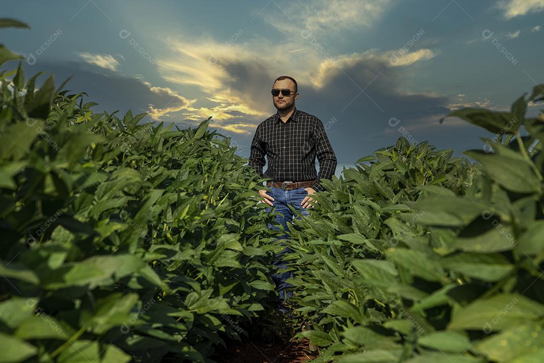 Jovem agricultor de chapéu no campo de soja Imagem JPG
