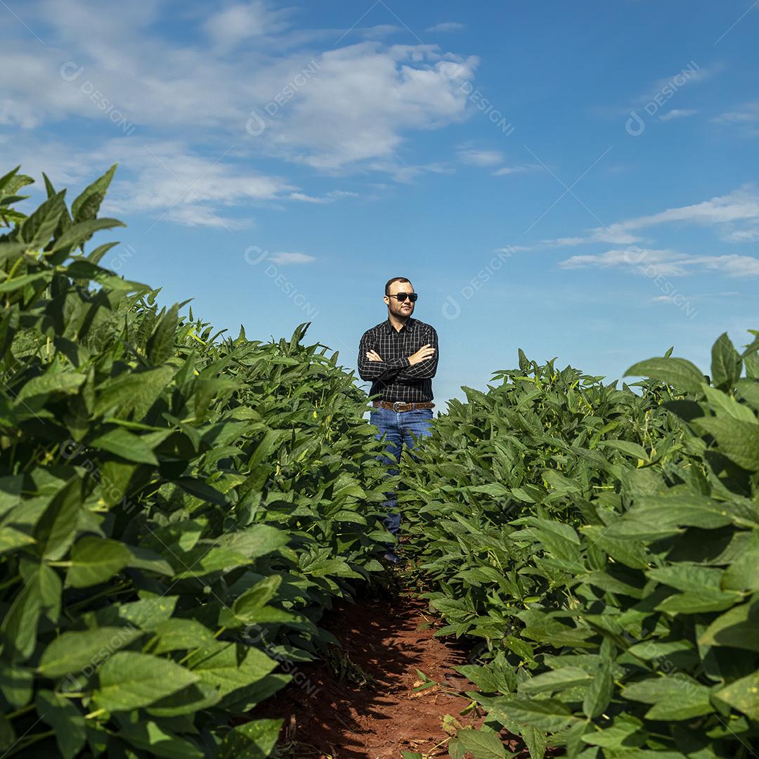 Jovem agricultor soja no campo de soja Imagem JPG
