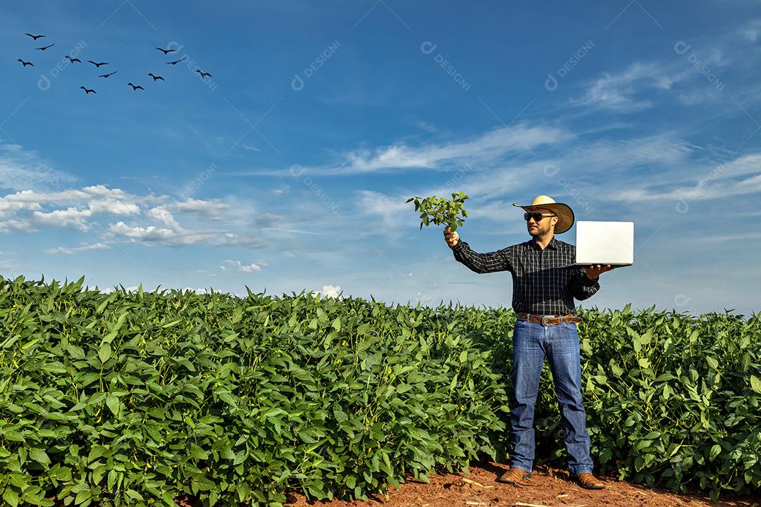 Jovem agrônomo de chapéu segurando o notebook no campo de soja Imagem JPG