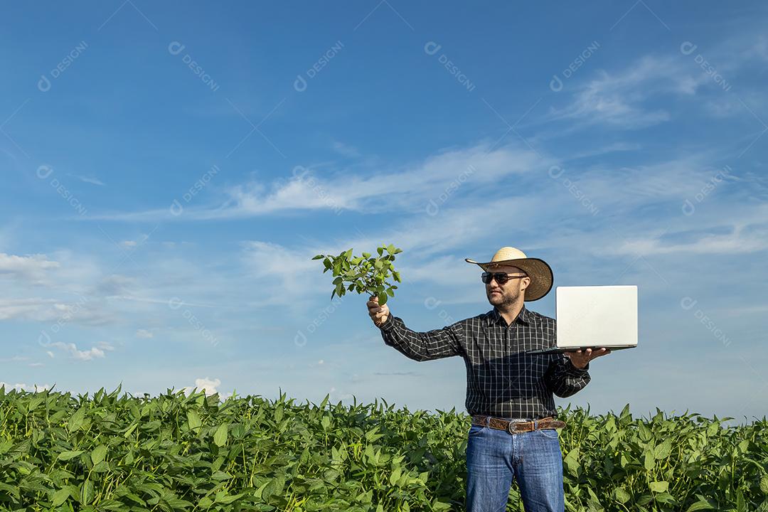 Jovem agrônomo de chapéu no campo de soja Imagem JPG
