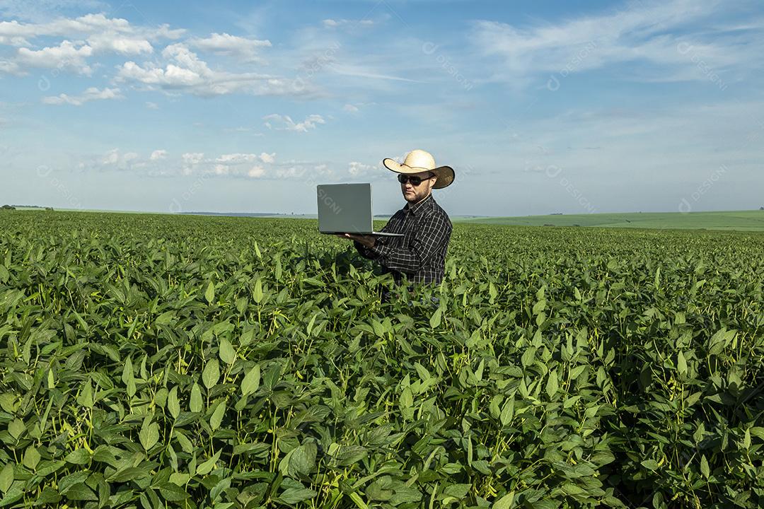 Jovem agricultor de chapéu segurando soja no campo de soja Imagem JPG