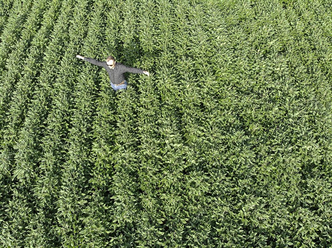 Vista aerea de uma pessoa andando em uma plantaçao de soja Imagem JPG