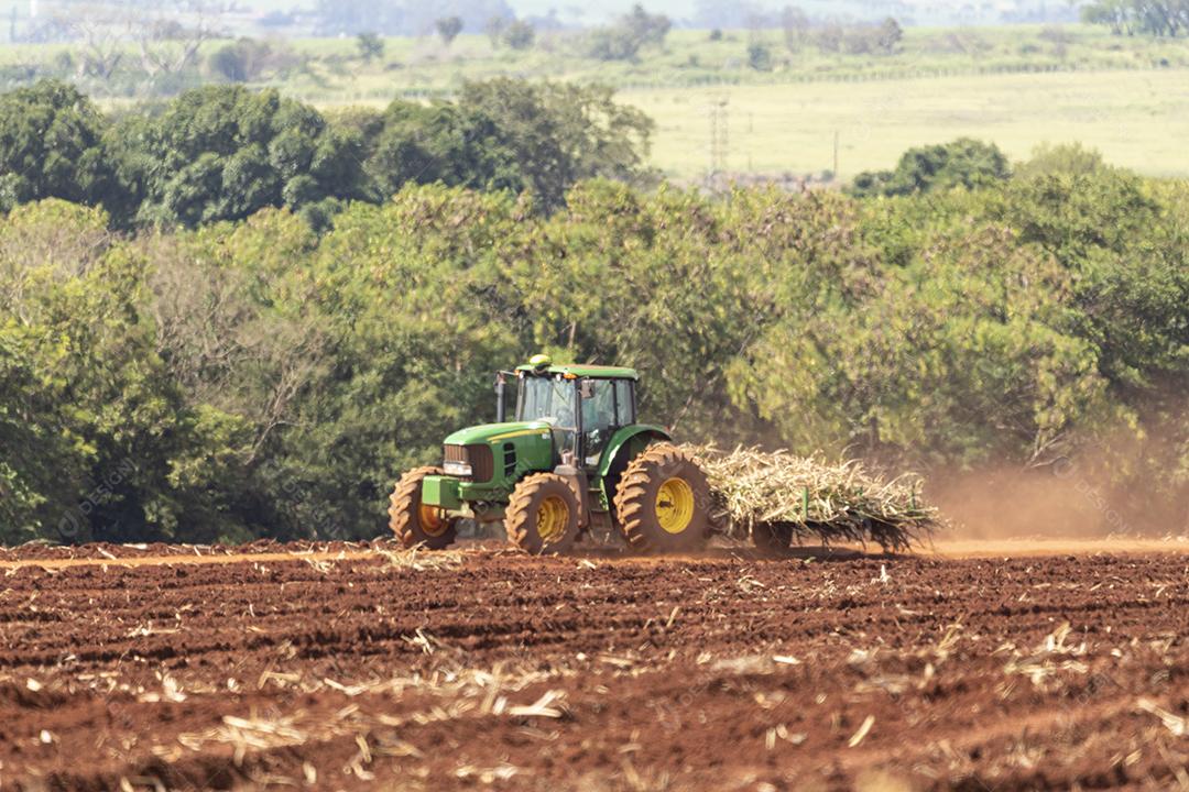 Plantaçao de colheita de soja agropecuaria Imagem JPG