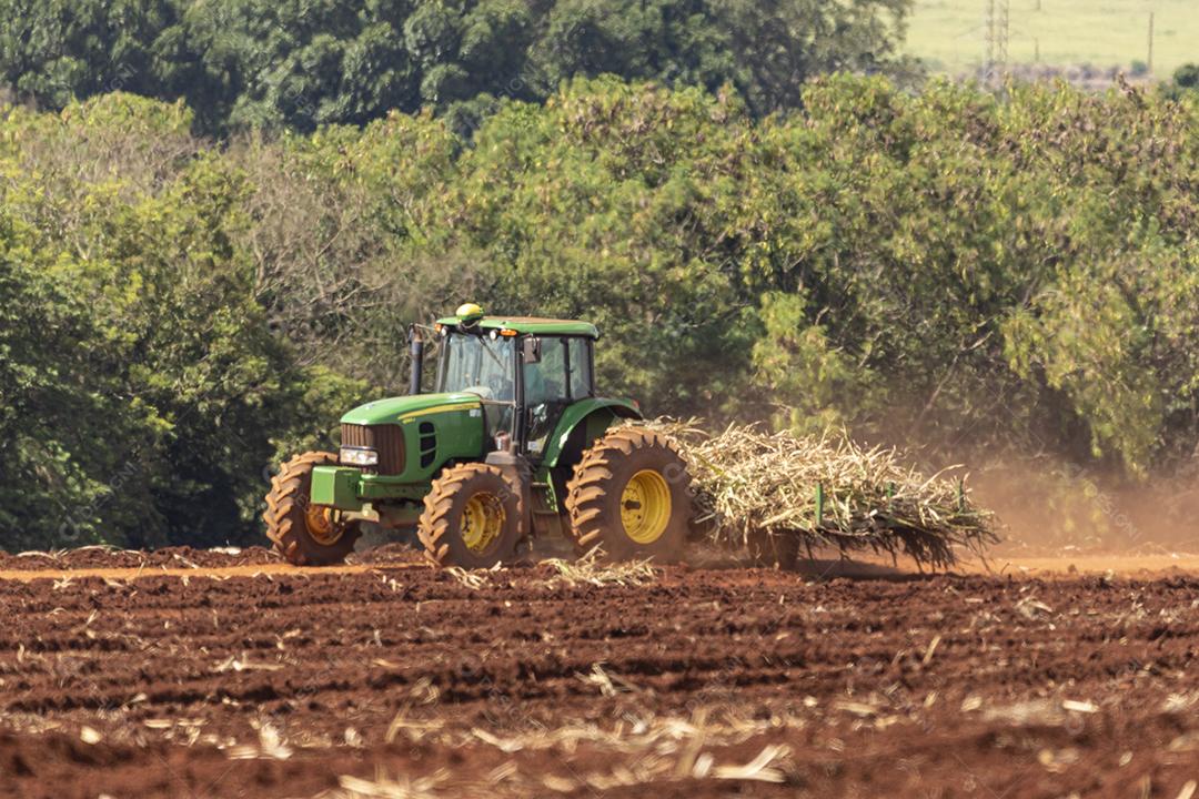 Plantaçao de colheita de soja agropecuaria Imagem JPG
