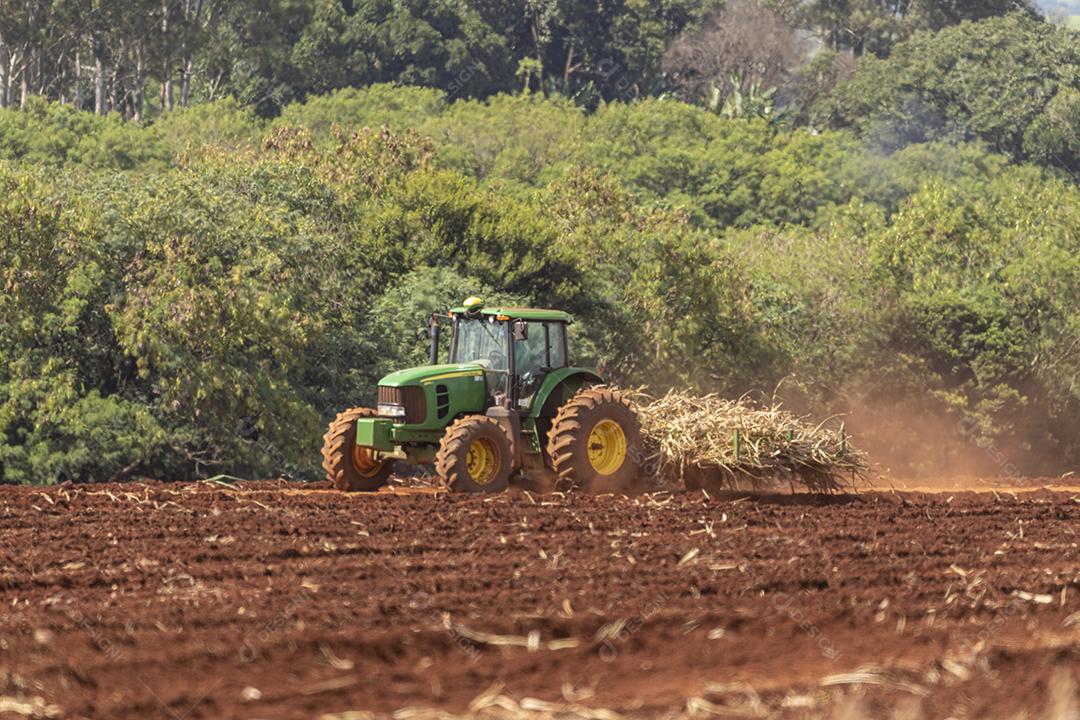 Plantaçao de colheita de soja agropecuaria Imagem JPG