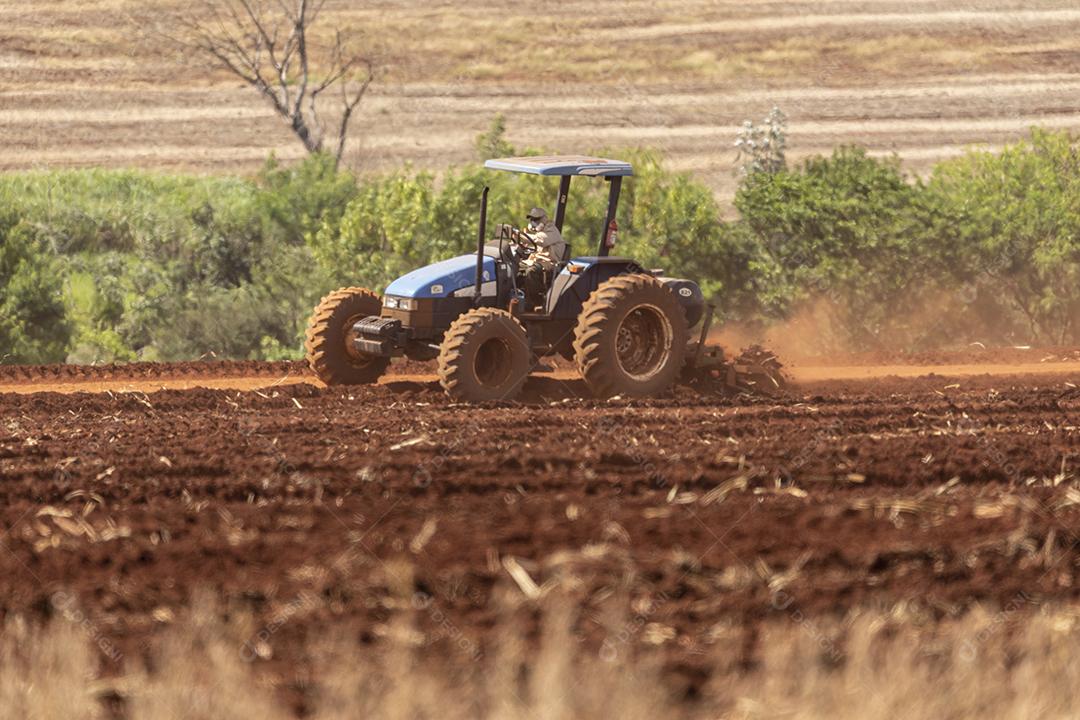 Plantaçao de colheita de soja agropecuaria Imagem JPG