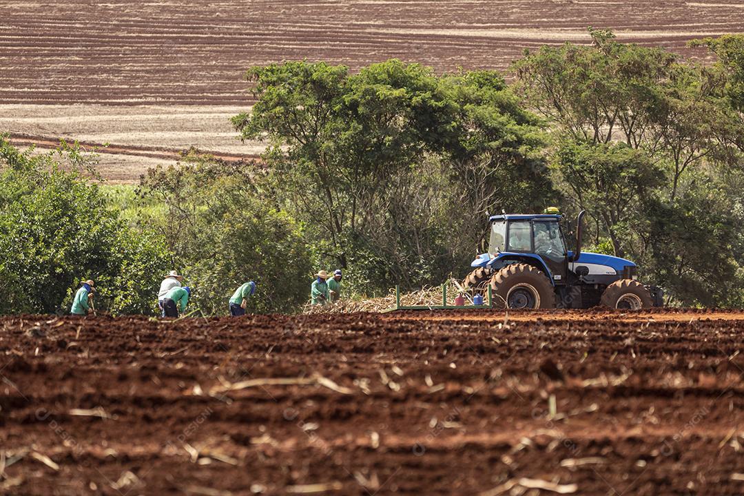 Plantaçao de colheita de soja agropecuaria Imagem JPG