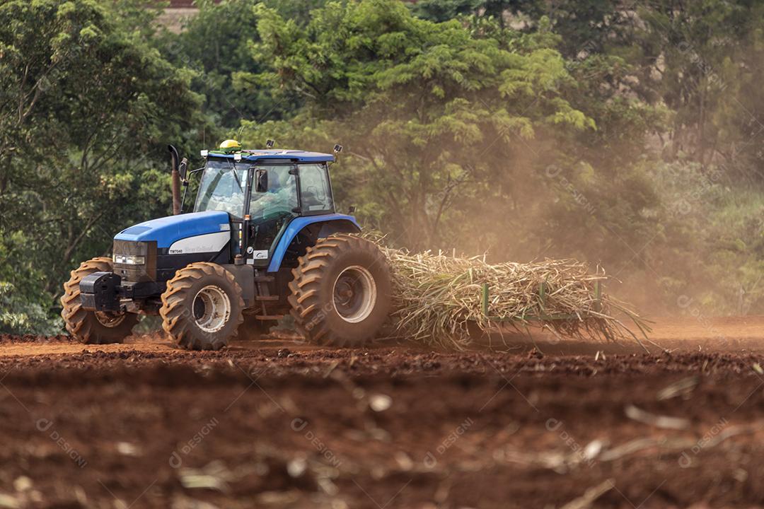 Plantaçao de colheita de soja agropecuaria Imagem JPG