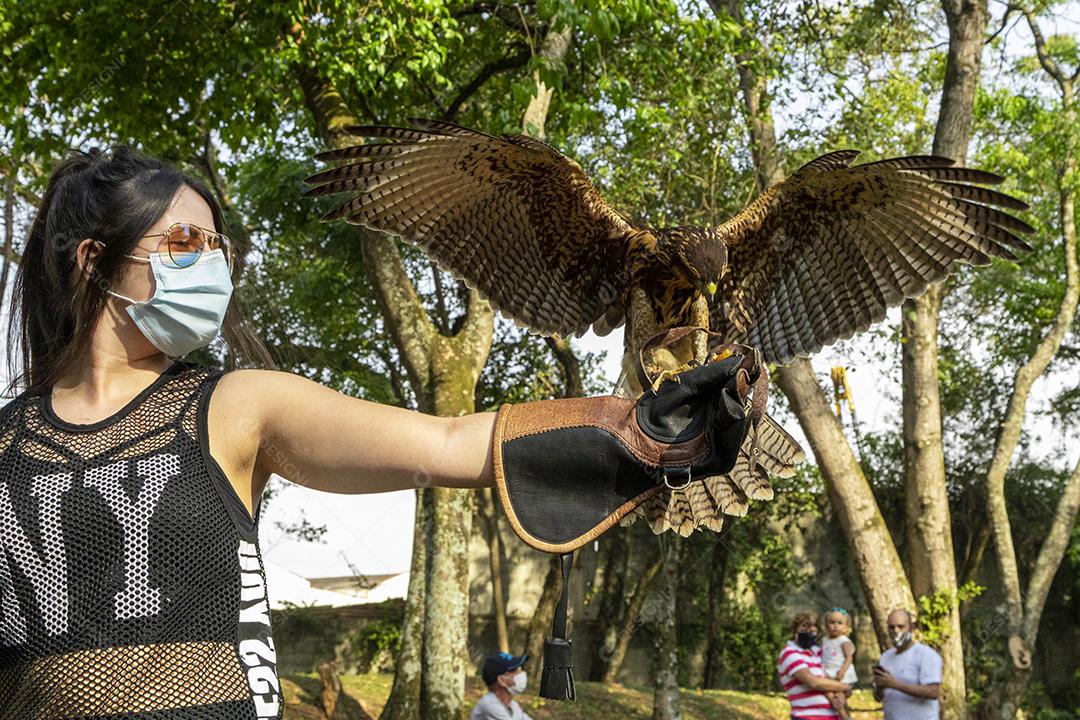 Mulher segurando uma aguia passaro aves Imagem JPG