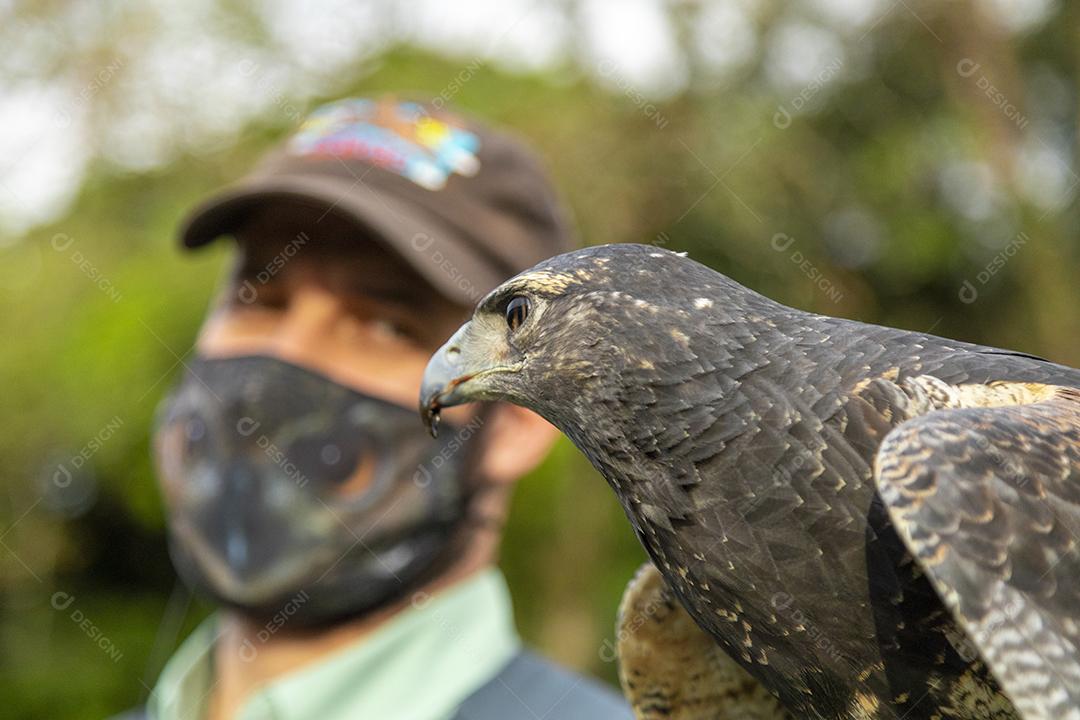 Homem segurando uma aguia passaro aves