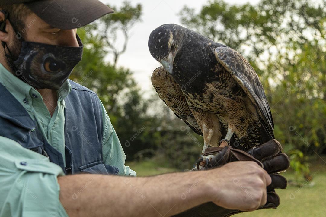 Homem segurando uma aguia passaro aves