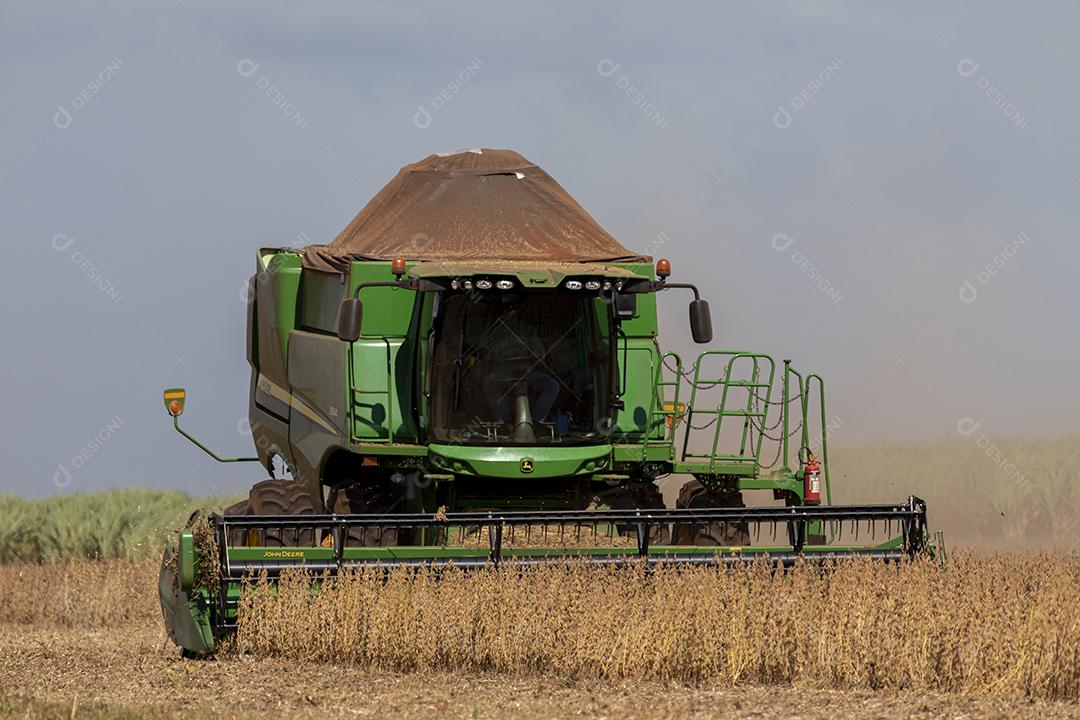 Trator agrícola colhendo soja no campo Imagem JPG