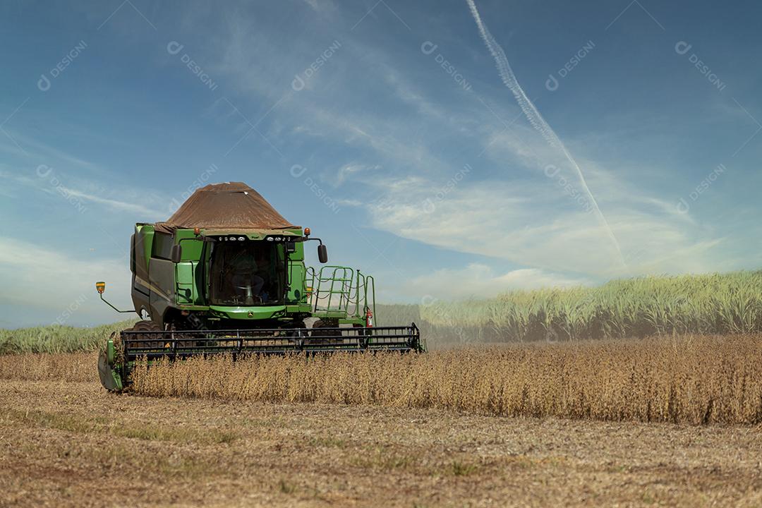 Trator agrícola colhendo soja no campo Imagem JPG