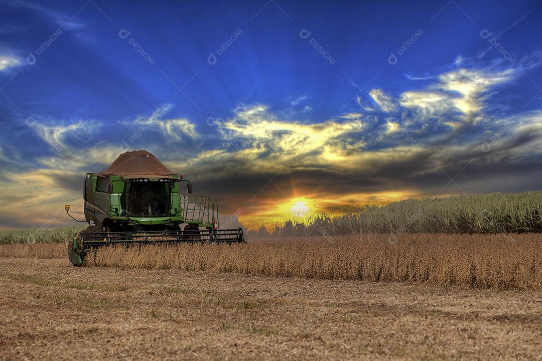 Trator agrícola colhendo soja no campo Imagem JPG