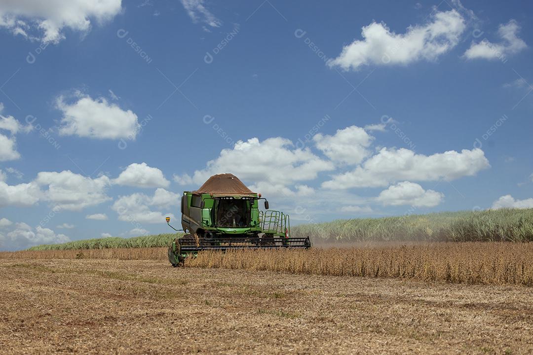 Trator agrícola colhendo soja no campo Imagem JPG