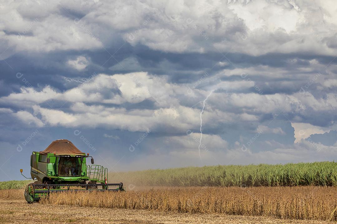 Trator agrícola colhendo soja no campo Imagem JPG
