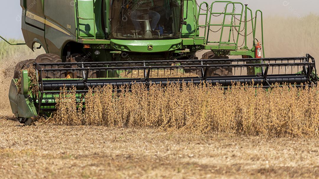 Trator agrícola colhendo soja no campo Imagem JPG