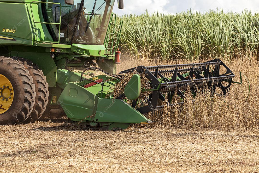 Trator agrícola colhendo soja no campo Imagem JPG