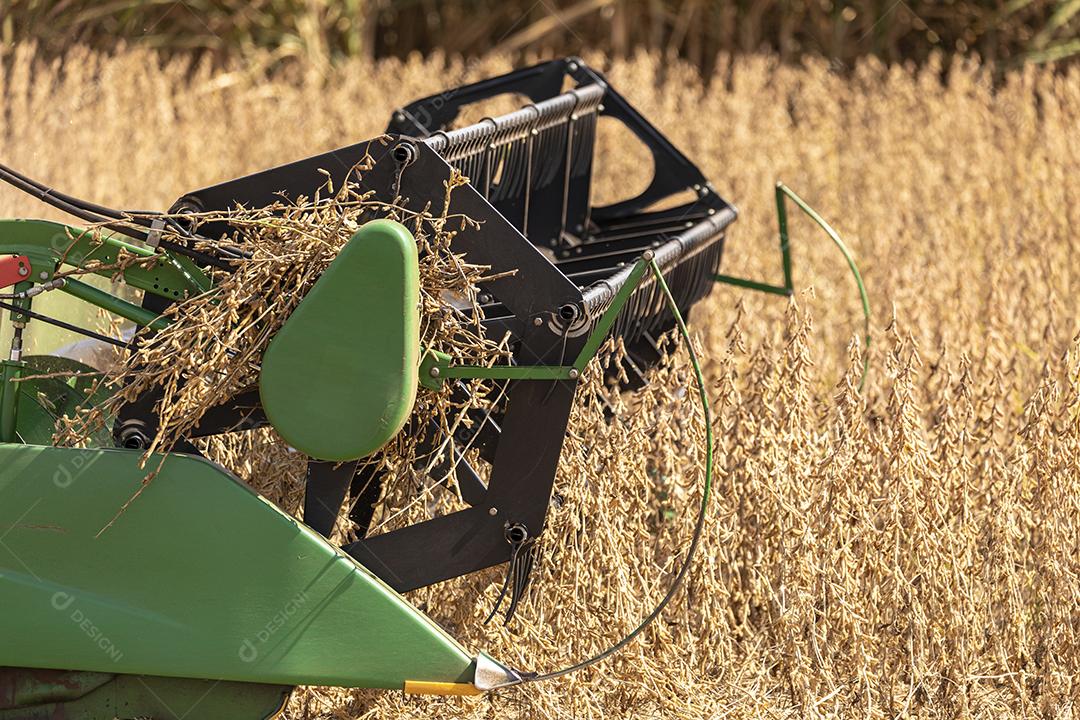 Trator agrícola colhendo soja no campo Imagem JPG