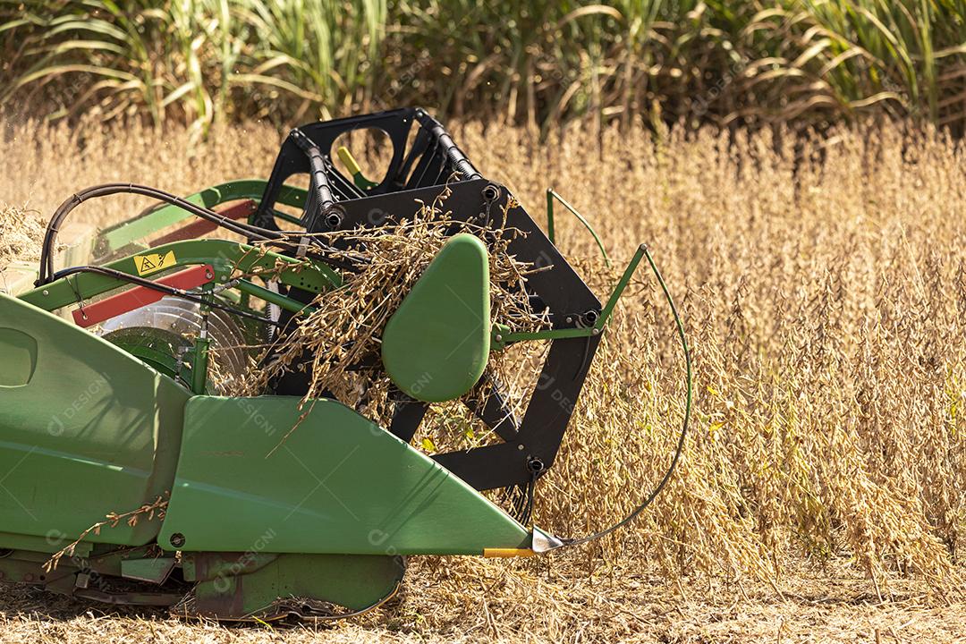 Trator agrícola colhendo soja no campo Imagem JPG