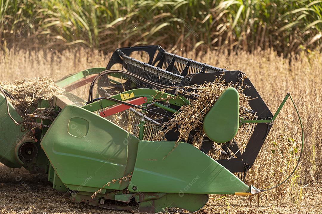Trator agrícola colhendo soja no campo Imagem JPG