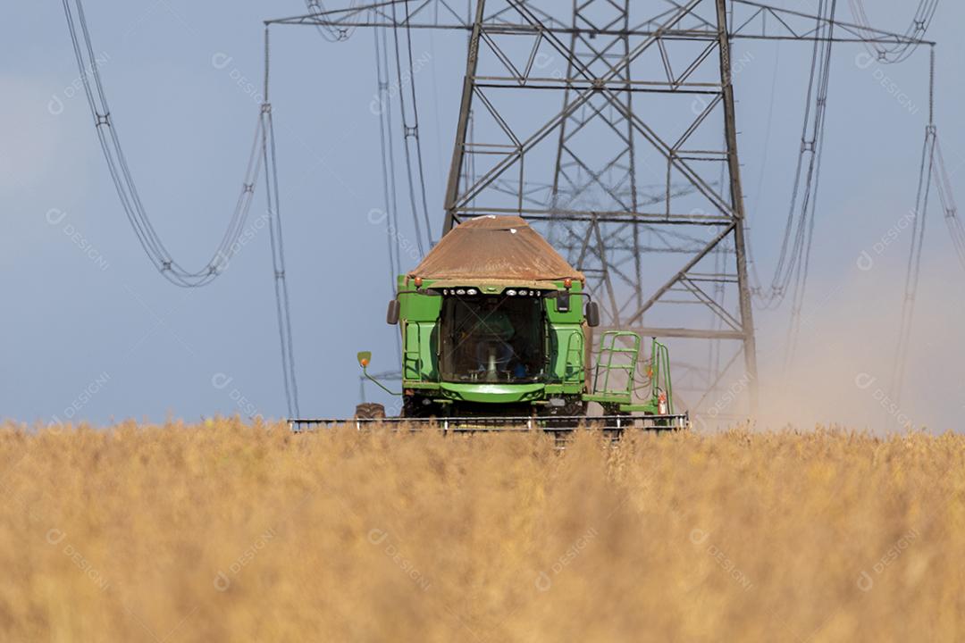 Trator agrícola colhendo soja no campo Imagem JPG