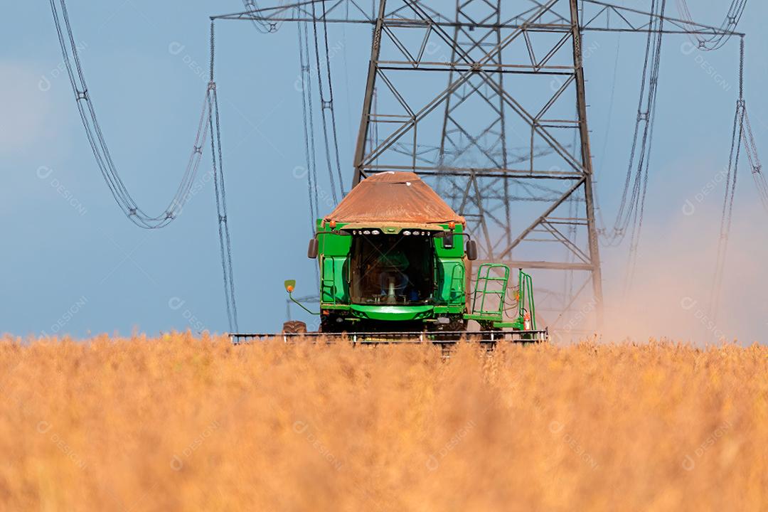 Trator agrícola colhendo soja no campo Imagem JPG
