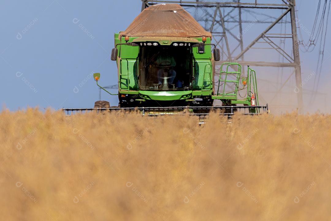 Trator agrícola colhendo soja no campo Imagem JPG