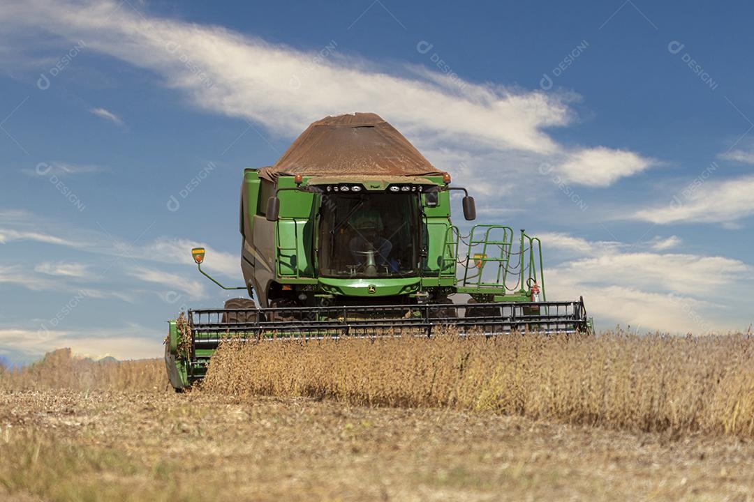 Trator agrícola colhendo soja no campo Imagem JPG