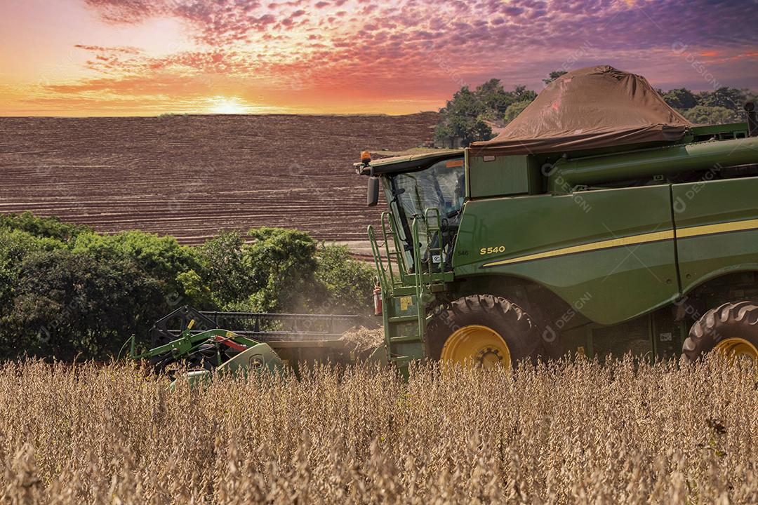 Trator agrícola colhendo soja no campo Imagem JPG