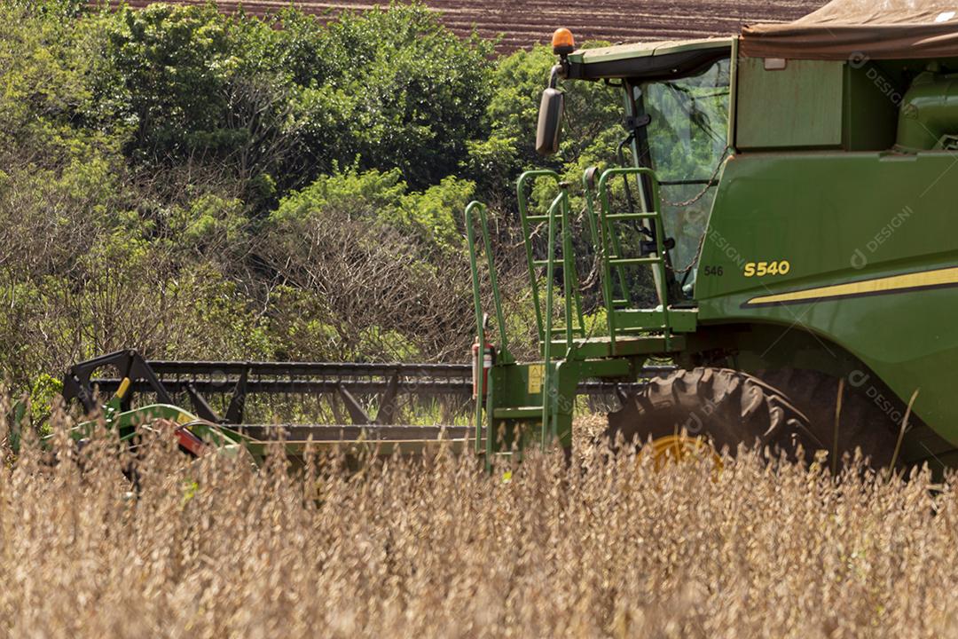 Trator agrícola colhendo soja no campo Imagem JPG