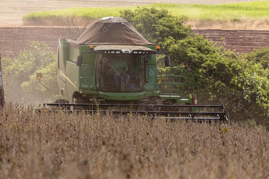 Trator agrícola colhendo soja no campo Imagem JPG