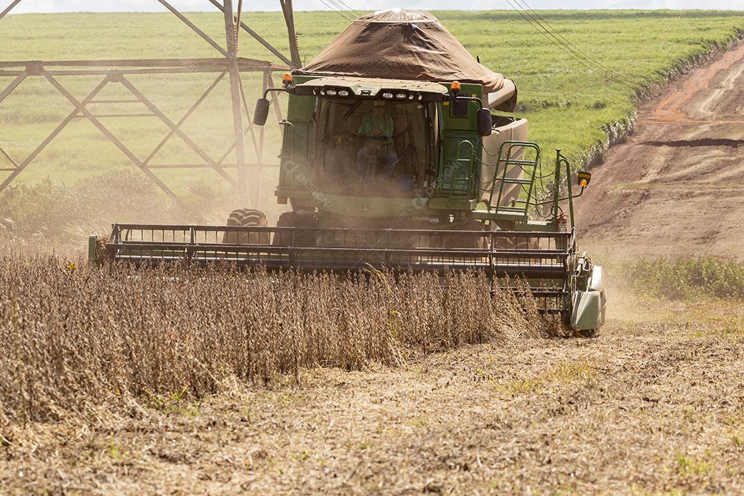 Trator agrícola colhendo soja no campo Imagem JPG