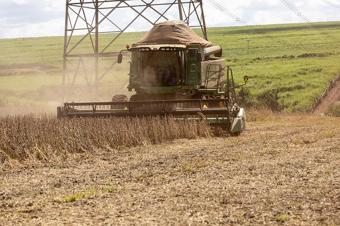 Trator agrícola colhendo soja no campo Imagem JPG