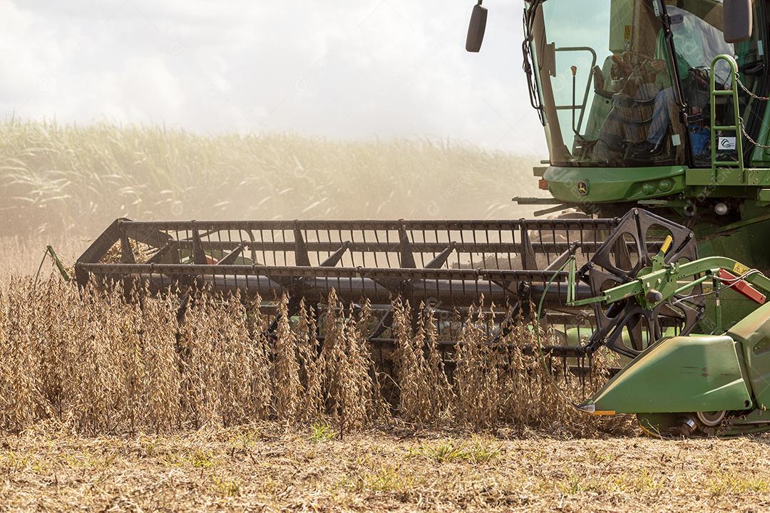 Trator agrícola colhendo soja no campo Imagem JPG