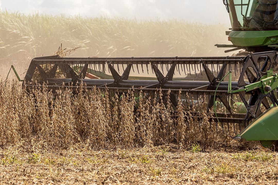 Trator agrícola colhendo soja no campo Imagem JPG