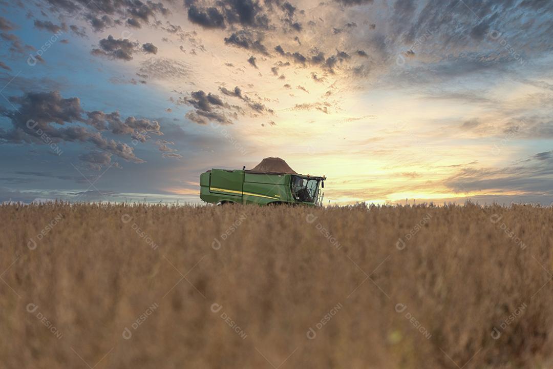 Trator agrícola colhendo soja no campo Imagem JPG