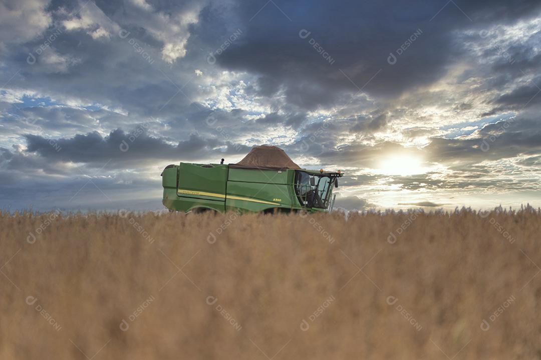 Trator agrícola colhendo soja no campo Imagem JPG