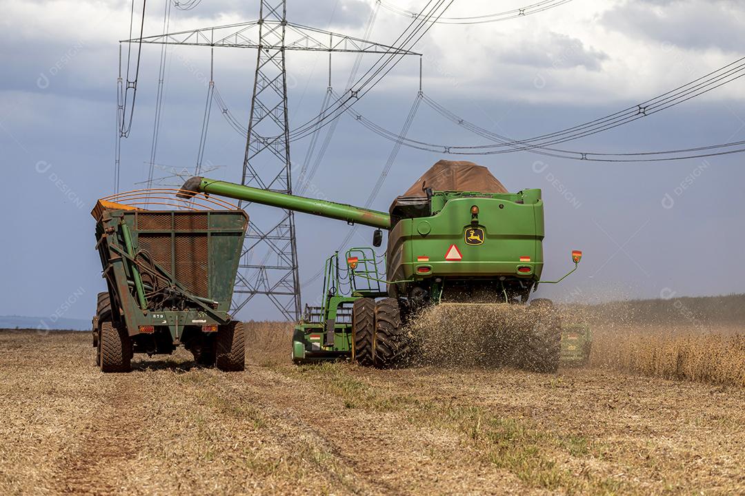Trator agrícola colhendo soja no campo Imagem JPG