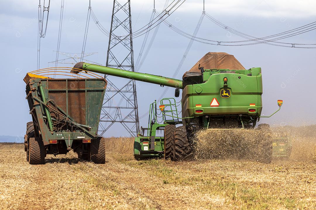 Trator agrícola colhendo soja no campo Imagem JPG