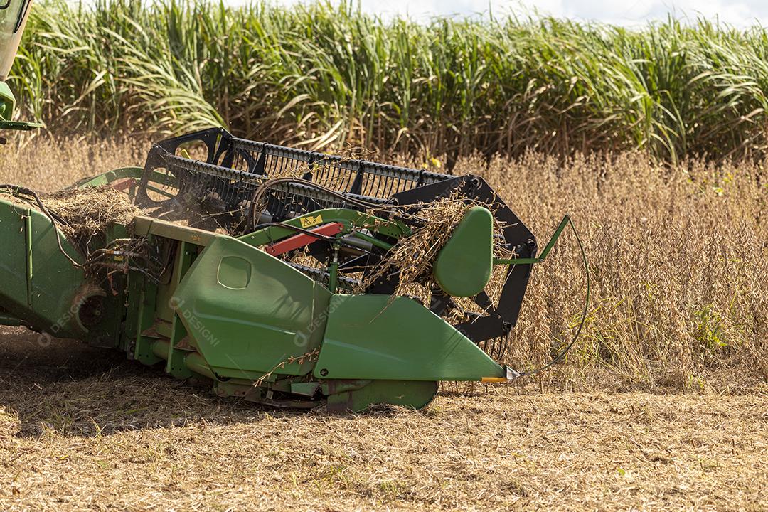 Trator agrícola colhendo soja no campo Imagem JPG