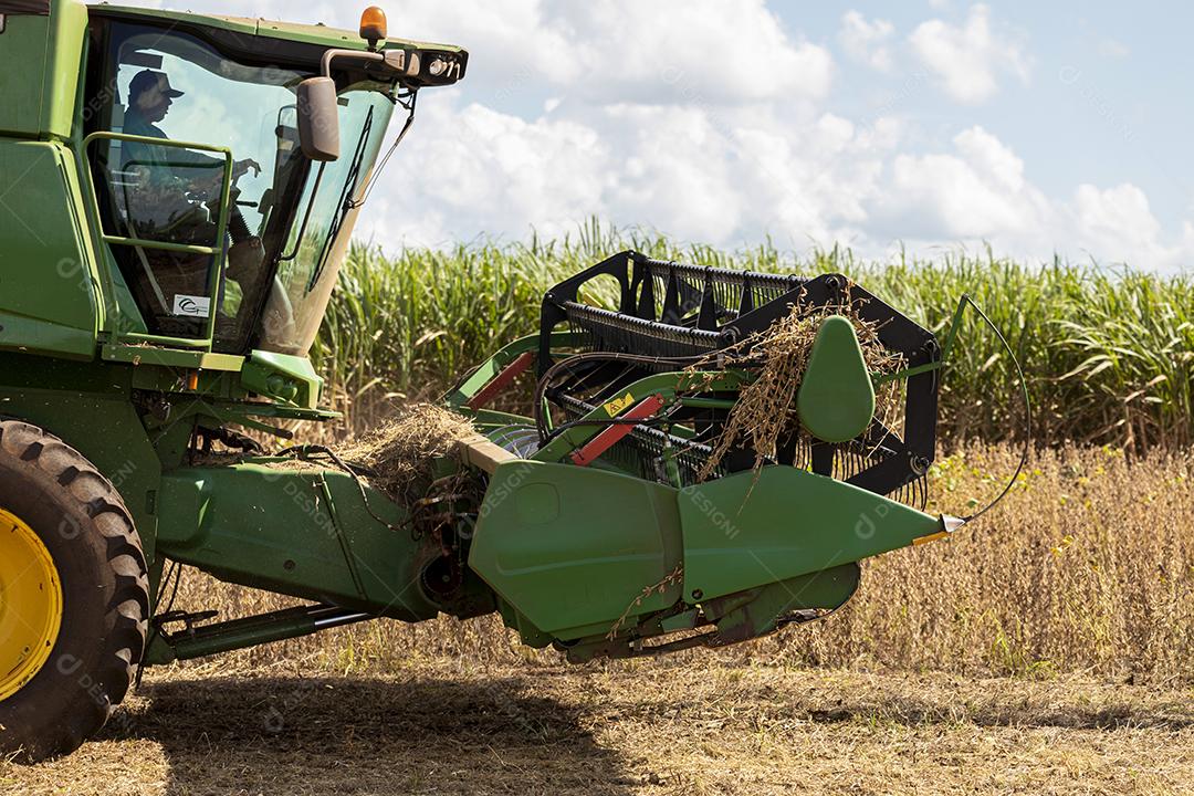 Trator agrícola colhendo soja no campo Imagem JPG