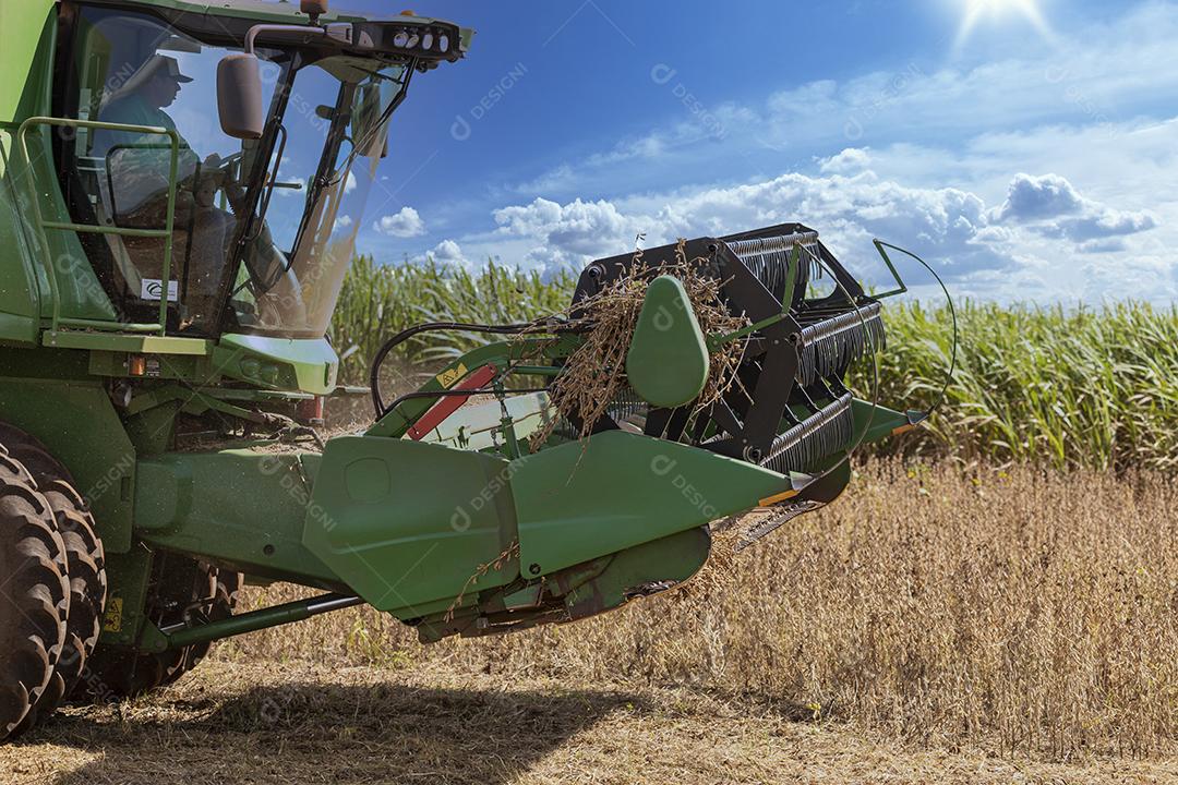 Trator agrícola colhendo soja no campo Imagem JPG