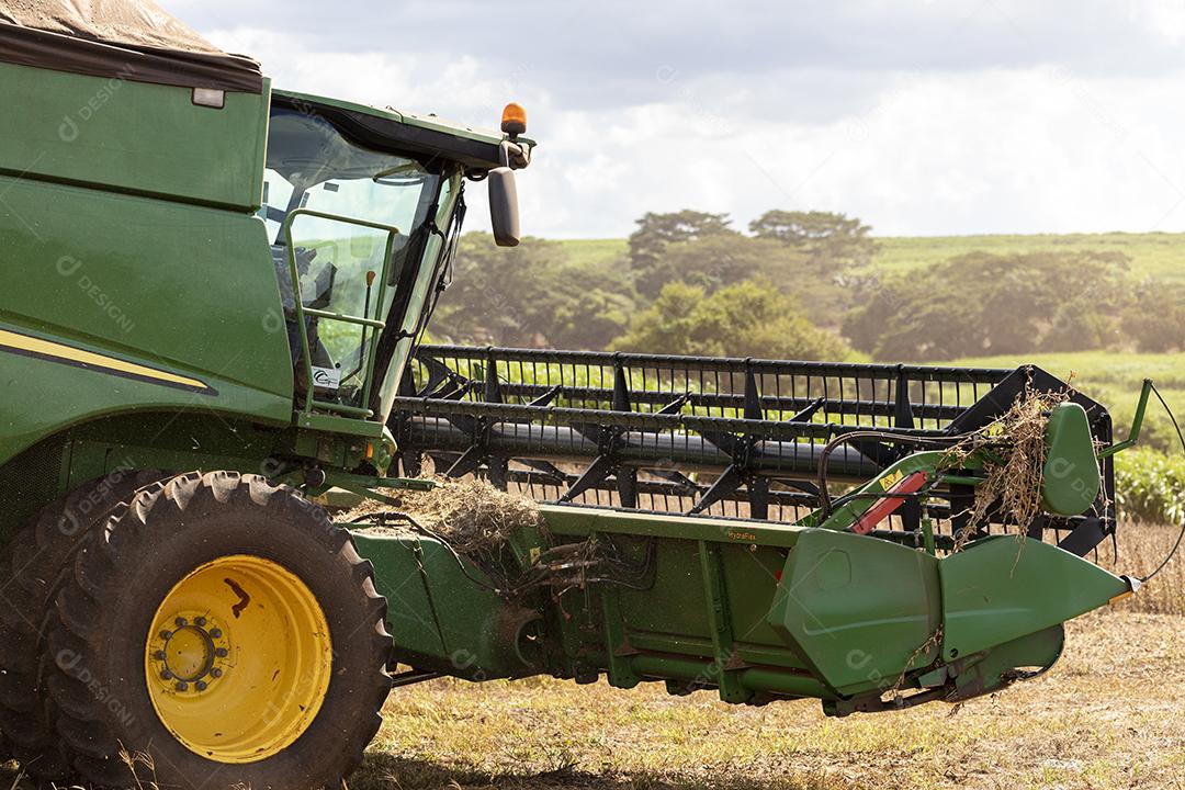 Trator agrícola colhendo soja no campo Imagem JPG