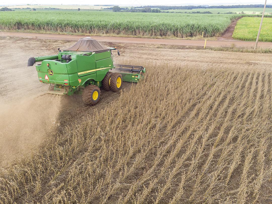 Trator agrícola colhendo soja no campo Imagem JPG