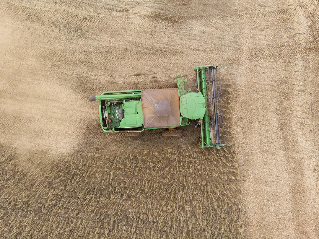 Trator agrícola colhendo soja no campo Imagem JPG