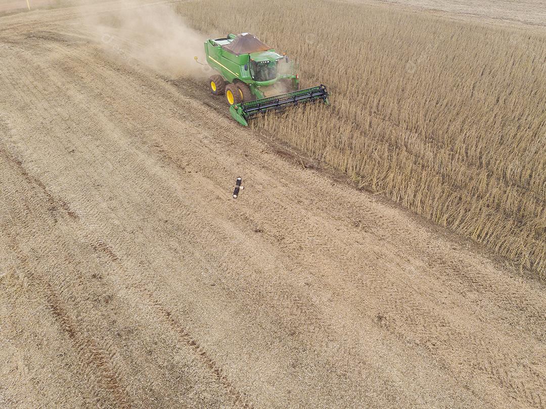 Trator agrícola colhendo soja no campo Imagem JPG