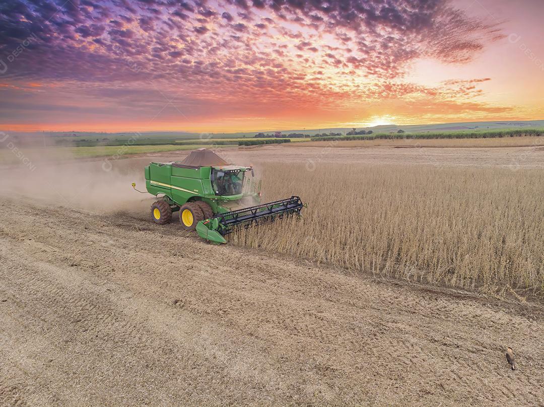 Trator agrícola colhendo soja no campo Imagem JPG